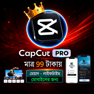 CapCut Pro - মাত্র 99 টাকায় লাইফটাইম মেয়াদ + সাথে ৫০ জিবি ভিডিও এডিটিং রিসোর্স ফ্রি...